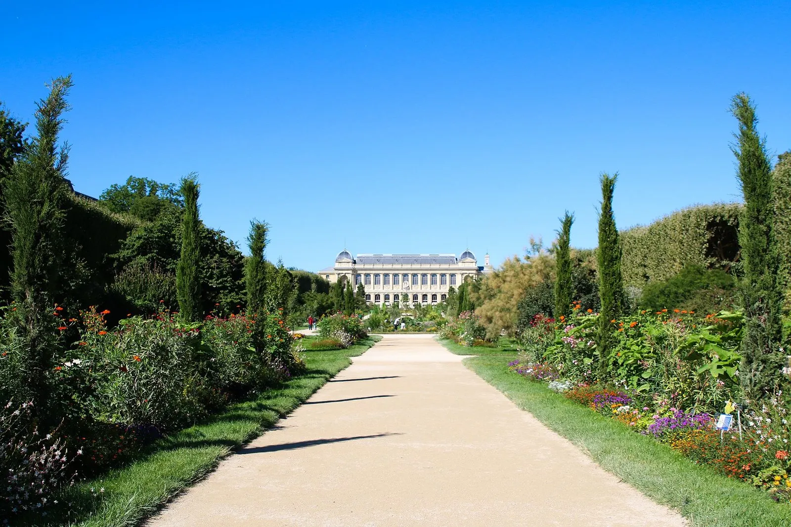 L’allée centrale du Jardin des Plantes en été