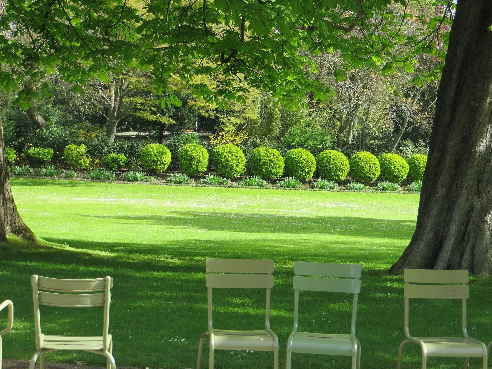 Des chaises sur la pelouse du jardin du Luxembourg