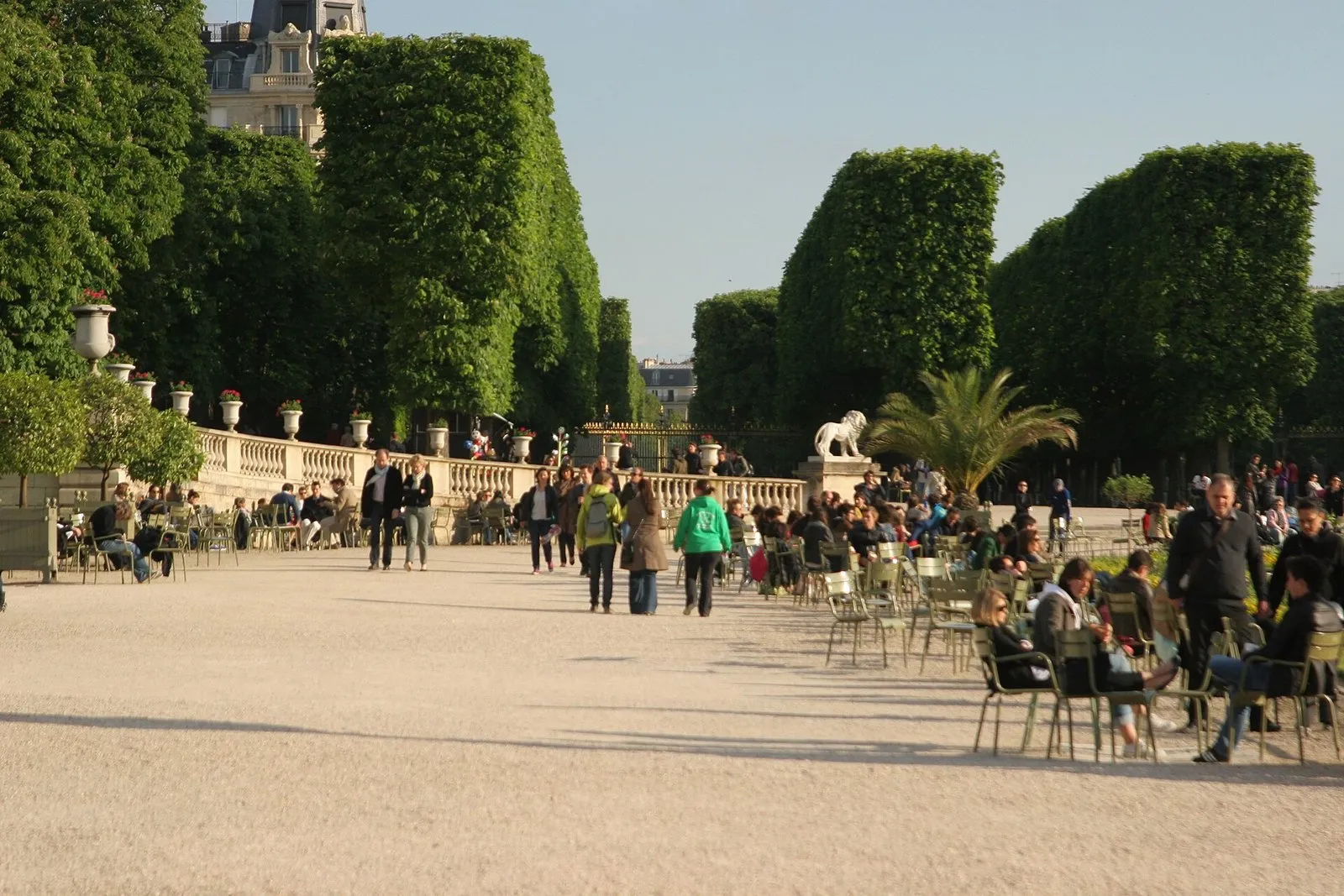 Les parterres du Fer à Cheval, au jardin du Luxembourg