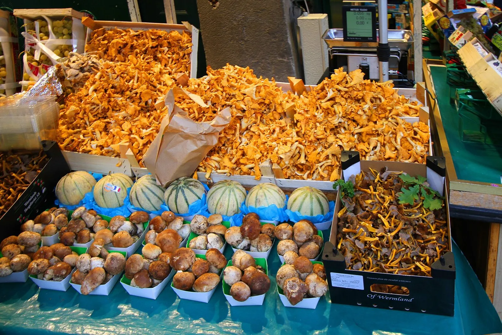 Mushrooms on a market stall on rue Mouffetard