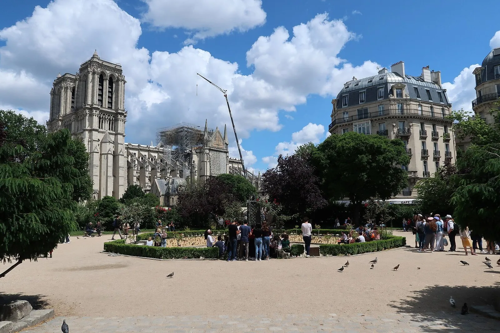 Le square René-Viviani, face à la cathédrale